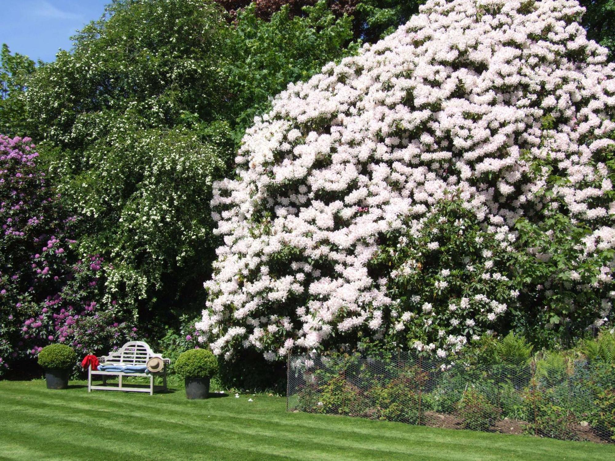 Kinloch House Hotel Blairgowrie and Rattray Eksteriør billede